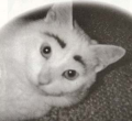 いかん！体重がぁ～