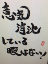 『　意気消沈～(_　_|||)　』 画像2