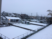 雪 画像1
