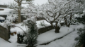 大雪