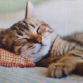 『　睡眠時間！？　』