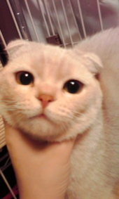 ナナコの写真 画像2