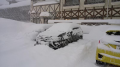 凄い雪になった・・・・