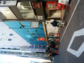 今日の白いばら 画像1