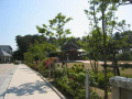 神社巡り