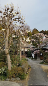 三寒四温❀春待ちて 画像3