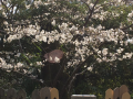 お墓参り♪