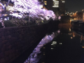 晴れ 全開
