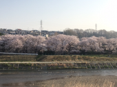 朝ラン♪ 画像2