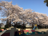 朝ラン♪ 画像3