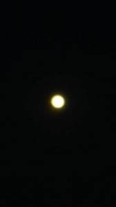 ２０１８/３/２９ 画像2