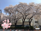 毎日ありがとう～♪ 画像1