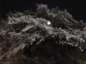 毎日ありがとう～♪ 画像2