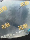『　花粉ＭＡＸ！？　』