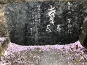月曜日 画像3