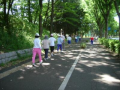 晴れ