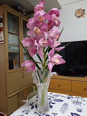お花を頂いた。 画像1