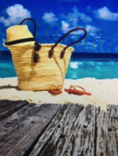 『　夏が来る～♪　』 画像3