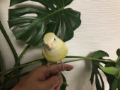 金曜日 画像1