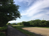 青空　♪ 画像2