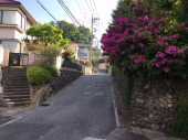 青空　♪ 画像3
