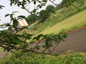 目標達成♪ 画像3
