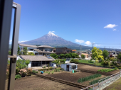 みどりの日 画像3