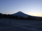 最終日です 画像1