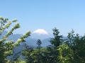 久しぶりのお山♪