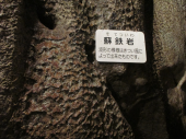 no title 画像1