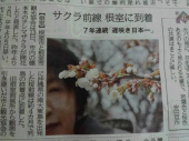 桜前線ゴールへ 画像1