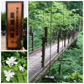 高尾山ハイキング 画像1