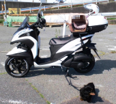 １２５ 画像3