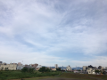 紫陽花ラン♪