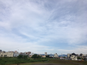 紫陽花ラン♪ 画像2