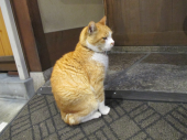 no title 画像1