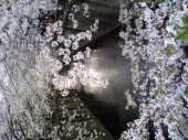 もう6月 画像2