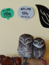 ワールド牧場へ 画像2
