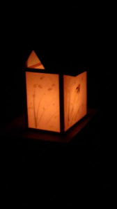 ２０１８/６/３０/高温注意情報/蛍狩り/日帰り温泉 画像3
