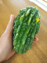ゴーヤ と 買い物