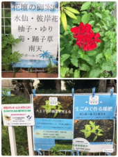 今日から曇り♪ 画像3