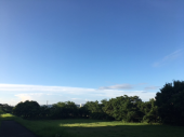 青空♪ 画像3
