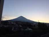 薬多くこんがらがって 画像1