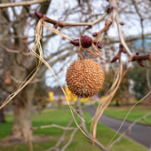 ☆市内散策その2☆ 画像1