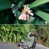 ☆市内散策その2☆ 画像2