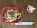 日曜日