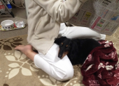 大成功！　毛１本のみ 画像2