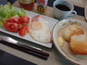パンガシウス？ 画像1