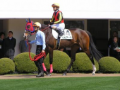 運動再開。 画像1