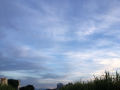 甲子園♪